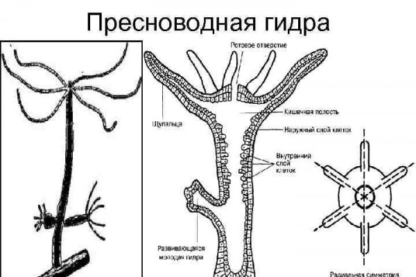 Не пришли деньги на кракен