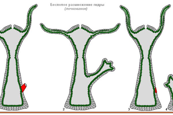 Что продают на сайте кракен