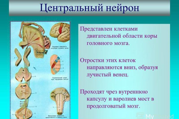 Кракен зеркало 2025