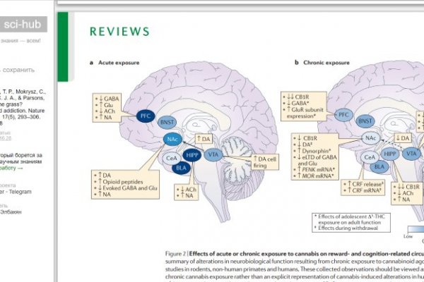 Ссылка на кракен в тор браузере